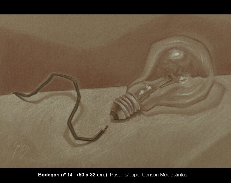 Bodegon14