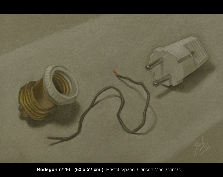 Bodegon16