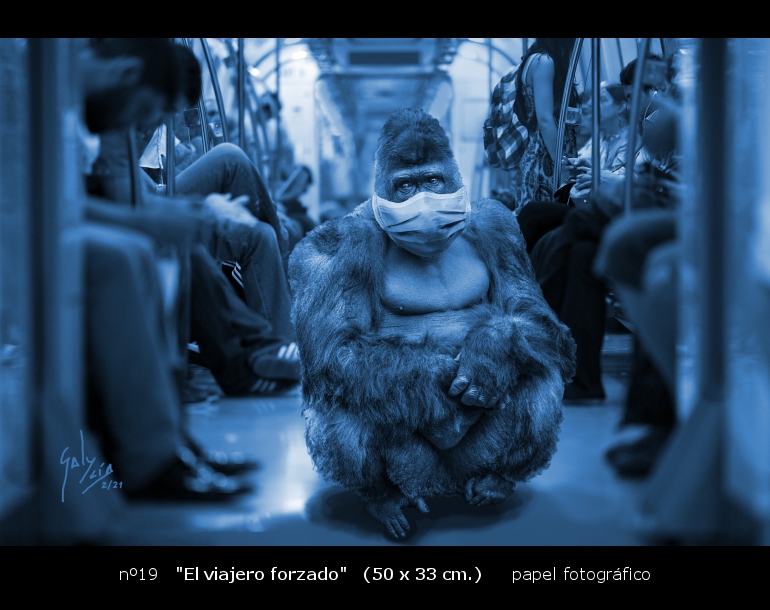 El Viajero forzado